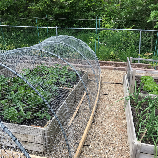 Raised Beds