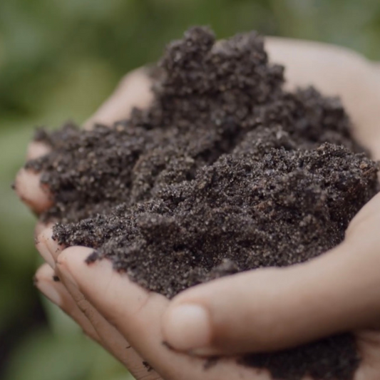 Better Soil, Better Plants, Better Planet