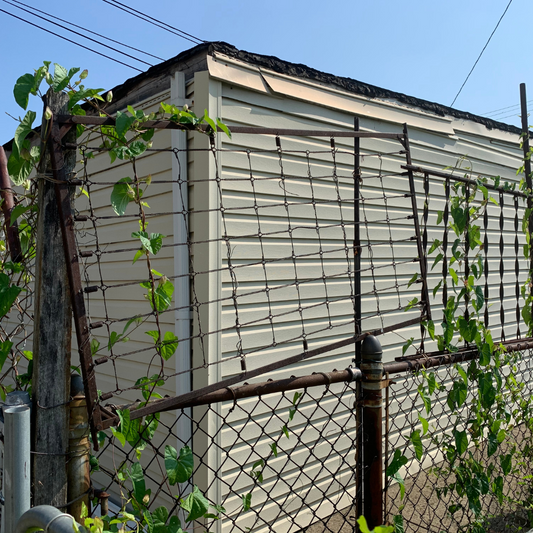 Taking a Cue from Re-use Brilliance in the Gardens of Cleveland’s AsiaTown